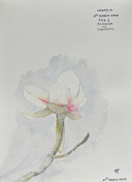 https://art.bharathpalavalli.com/files/gimgs/th-19_magnolia.jpg
