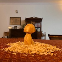 https://art.bharathpalavalli.com/files/gimgs/th-20_mushroom.jpg
